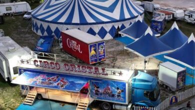 circo 3477361840700 2709748085972311458 n