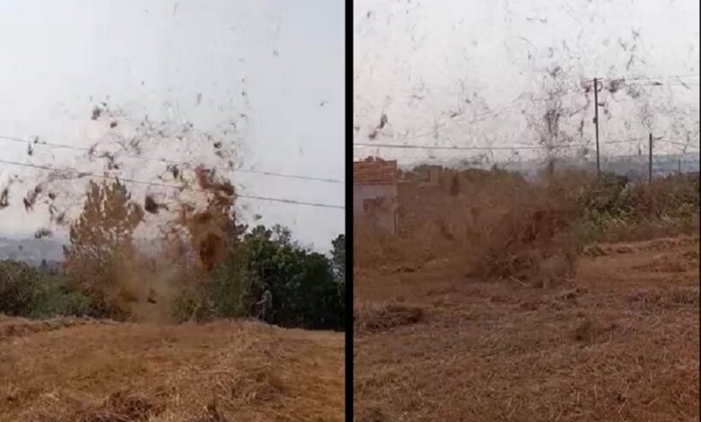 Redemoinho de vento leva palha pelos ares (c/ vídeo) vento