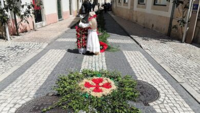 IMG 20230611 113336