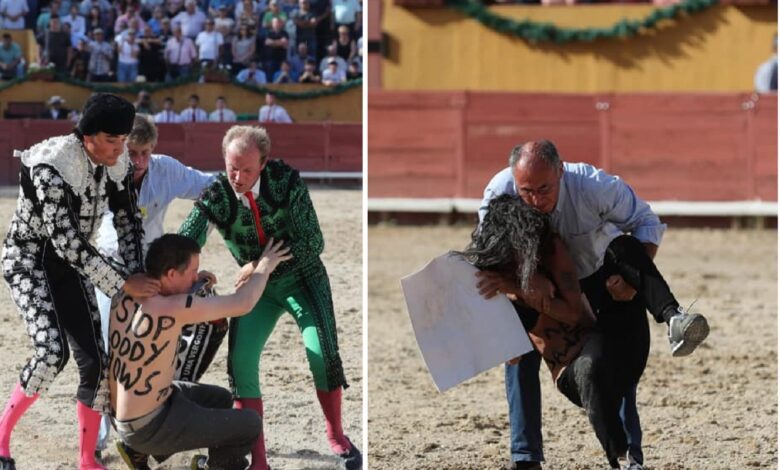 Defensores dos animais interrompem tourada em Santarém (c/ vídeo) vegans 1921734975783 1409805000290793 n