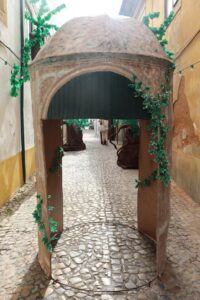 ruas ornamentadas 2023 IMG 20230706 WA0003