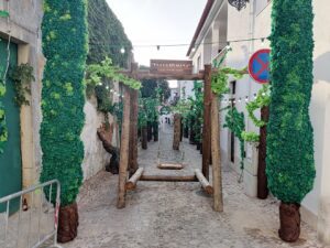 ruas ornamentadas 2023 IMG 20230706 070431
