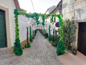 ruas ornamentadas 2023 IMG 20230706 070501