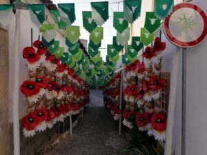 ruas ornamentadas 2023 IMG 20230706 070601