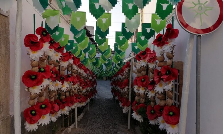 As melhores imagens das ruas ornamentadas ruas ornamentadas 2023 IMG 20230706 070601