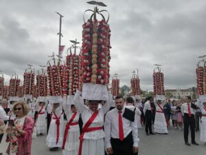 tabuleiros IMG 20230708 103007