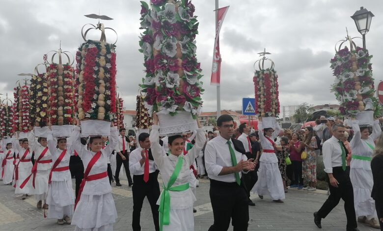 Cortejos parciais levam 618 tabuleiros até à Mata dos Sete Montes (c/ fotos e vídeos) tabuleiros IMG 20230708 103244