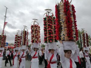 tabuleiros IMG 20230708 103316