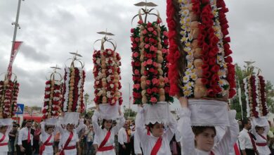tabuleiros IMG 20230708 103316