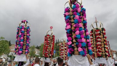 tabuleiros IMG 20230708 103355