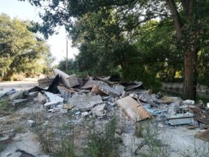 Flecheiro IMG 20230806 091721