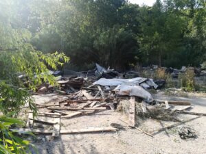 Flecheiro IMG 20230806 091944