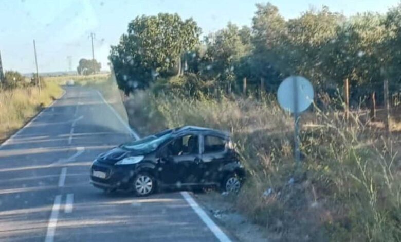 Mais um acidente na estrada N365 - Entroncamento/Golegã acidente 84403301 3948772955769127880 n