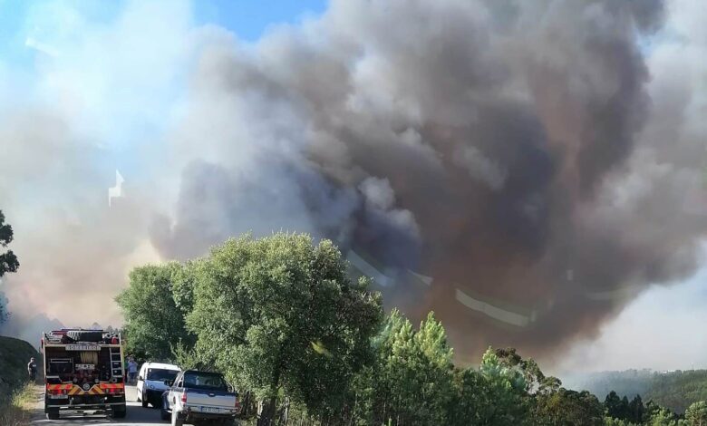 Mais de 1500 bombeiros combatem incêndios em Ourém e Castelo Branco (c/ vídeos) incendio 439 5983980548726884970 n