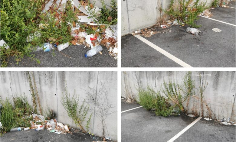 Lixeira no parque de estacionamento junto à CP (c/ fotos e vídeo) lixo 6789
