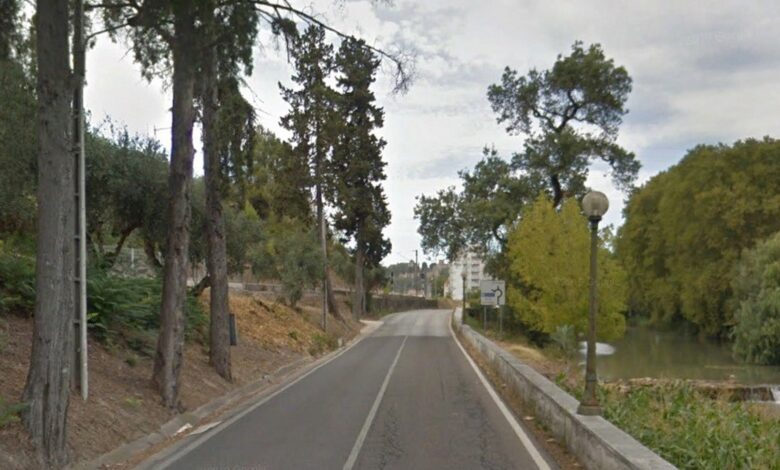 Passadiço entre Flecheiro e S. Lourenço custa cerca de 440 mil euros passadico 6Sem Titulo