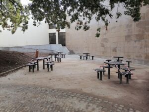 biblioteca IMG 20230917 093839