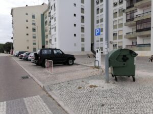 flecheiro IMG 20230903 111356