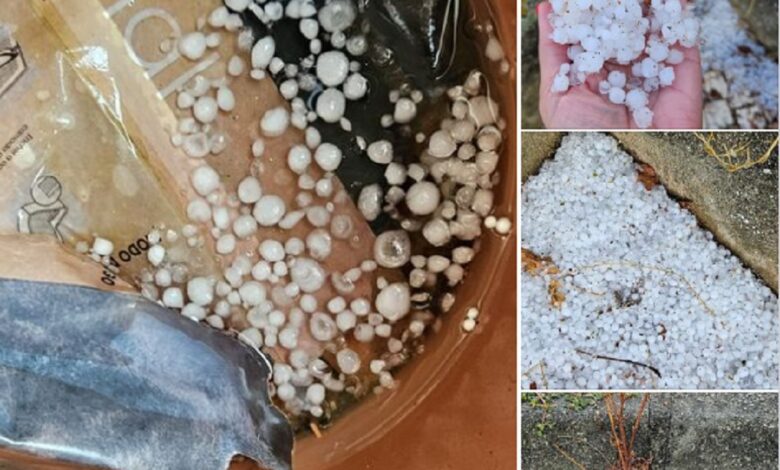 Caiu granizo em Ferreira do Zêzere granizo FZ