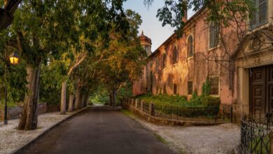 Quinta da Cardiga