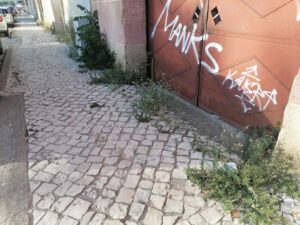 ervas IMG 20231002 175603