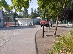 estac 046955 3149456476091349902 n