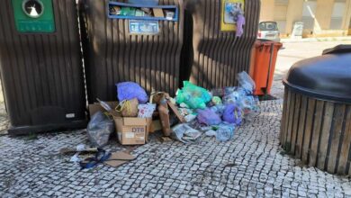 lixo 4342508841 3274978591383575693 n
