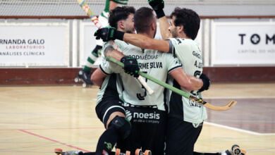sp. Tomar z IMG 9910 copiar