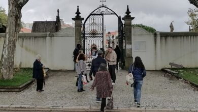 cemiterio IMG 20231101 112617