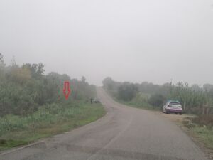 despiste IMG 20231128 102454