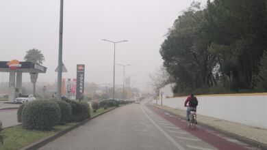 ciclovia ciclista IMG 20240110 094543