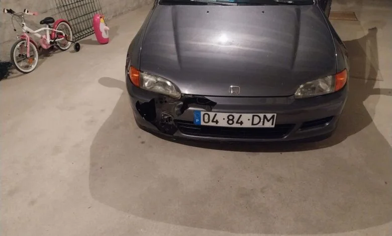 Carro choca contra javalis javal 97645649077 1646664347666309353 n
