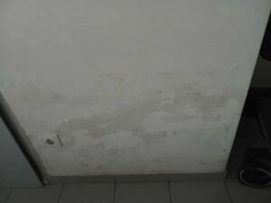 bairro cale 03556502 1300574703035824846 n
