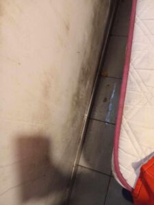 bairro cale 1421038 8544088990606707982 n