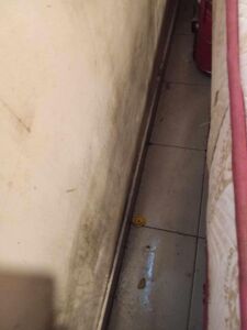 bairro cale 9086653 2120699851838846267 n