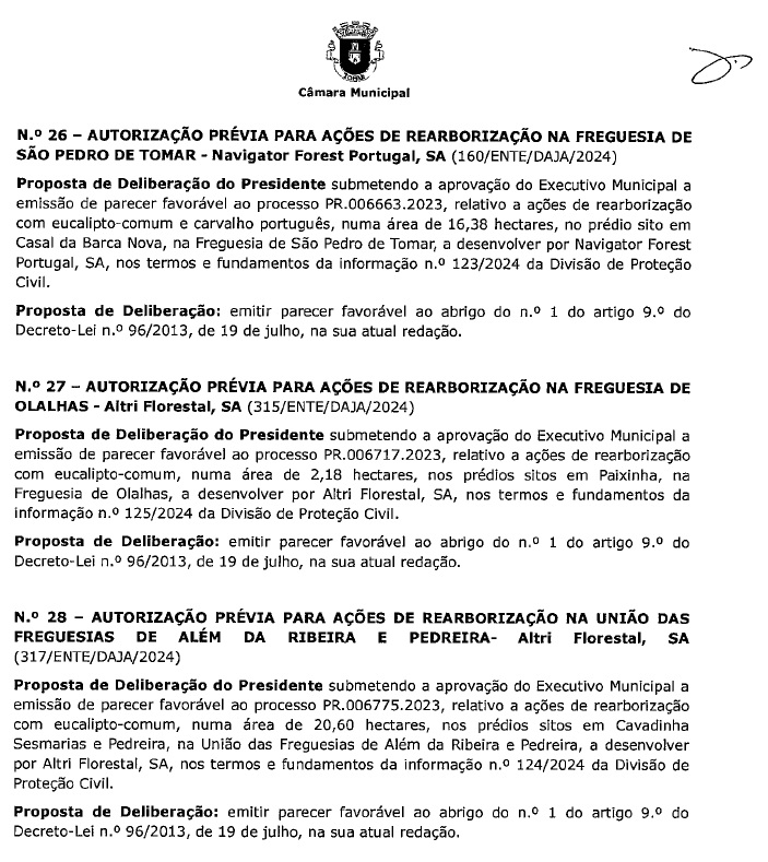 eucaliptos 7890