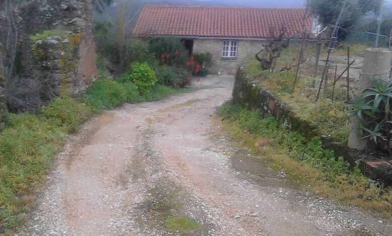 Saiba quais são as aldeias mais pequenas do concelho de Tomar estrada IMG 20170204 155634