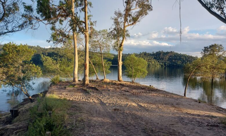Novos proprietários da praia fluvial de Alverangel cortam árvores alverangel praia 2125 4093 8907 68c711c6e249