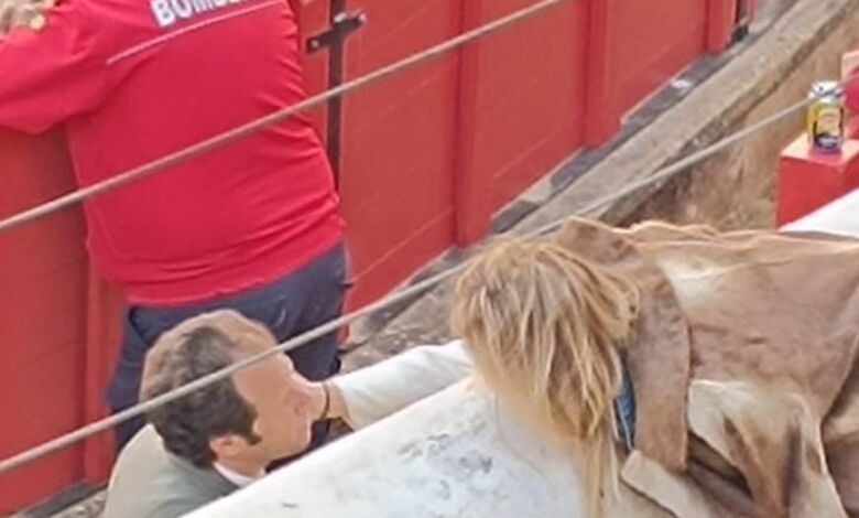 Casal famoso do momento esteve em Tomar barbara 5 5WhatsApp Image 2024 04 26 at 17.33.43