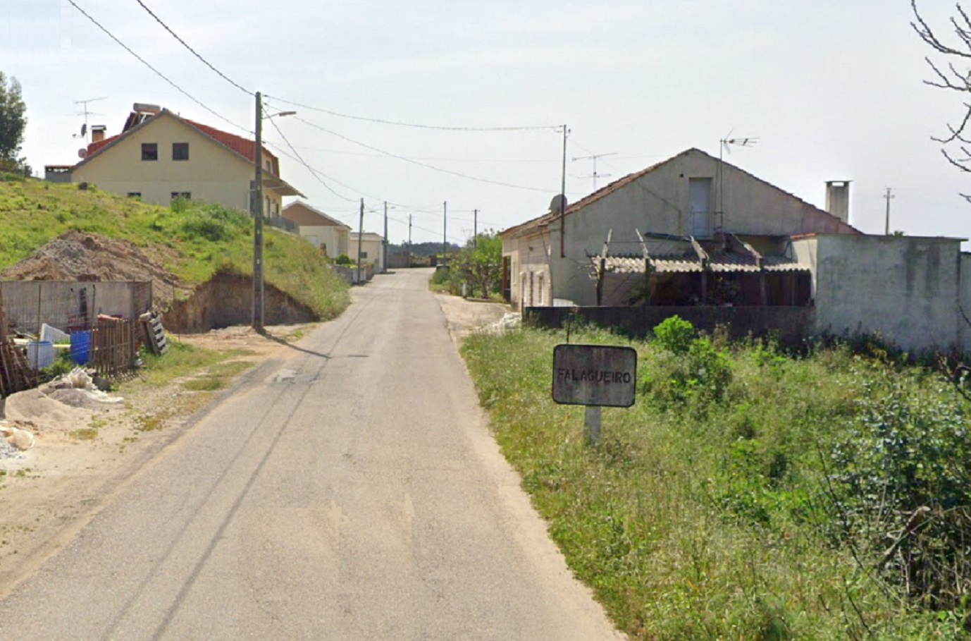 falagueiro