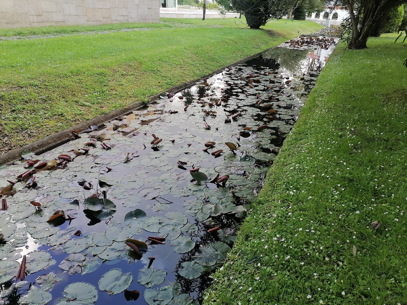 hotel canal IMG 20240403 101633