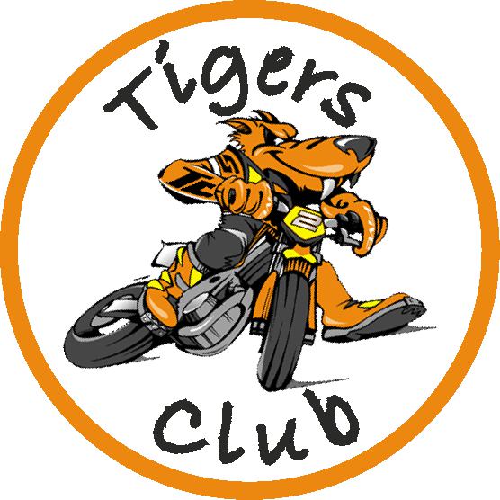 tigers 1000013868