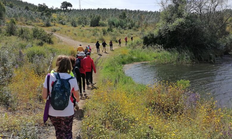 Primavera em Tomar: os melhores trilhos para caminhadas caminhada IMG 20240512 105735
