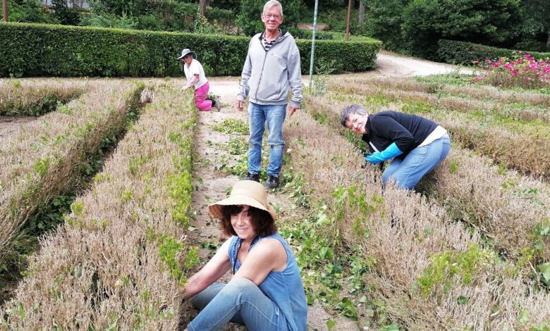 Mata dos Sete Montes: voluntários ajudam a cuidar do jardim (c/ áudio) mata IMG 20240515 102914