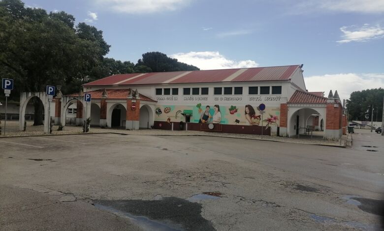 Sindicato acusa câmara de violar a lei e pôr utentes e comerciantes do mercado em risco mercado IMG 20240501 104928