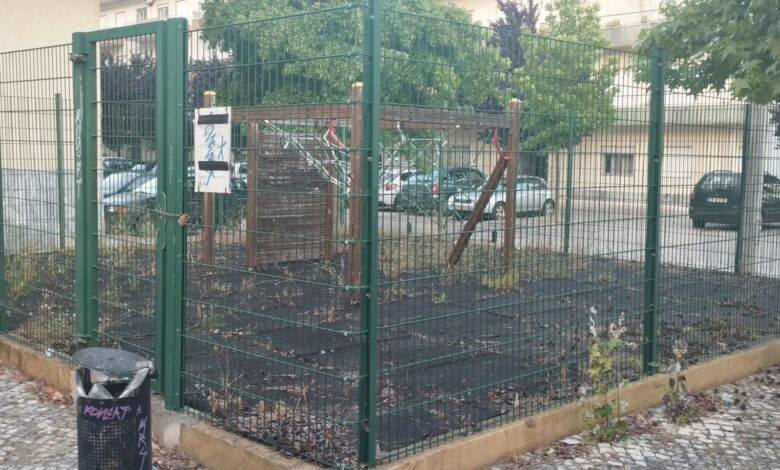 Parque infantil ou parque selvagem Imagem WhatsApp 2024 06 04 as 13.39.23 7f42d118