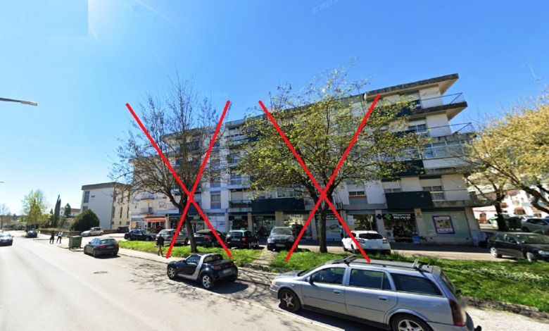 Menos duas árvores na rua Manoel de Mattos arvores 890