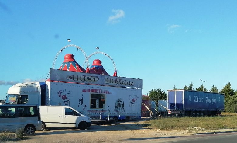 Circo Dragon pela primeira vez em Tomar circo IMG 20240711 200321