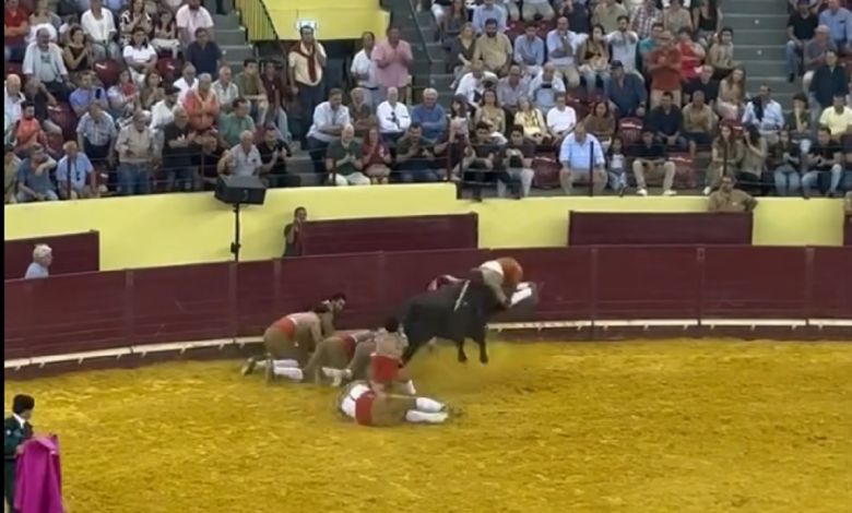 Grupo de Forcados de Santarém faz pega memorável (c/ vídeo) pega forcados