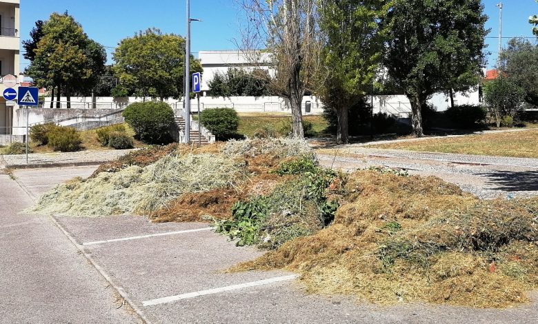Ourém recolhe resíduos verdes porta a porta. E Tomar? residuos verdes IMG 20240724 112128